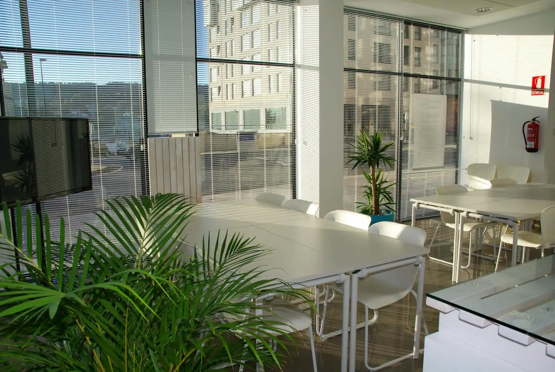 Reforma Oficina Sevilla (3)